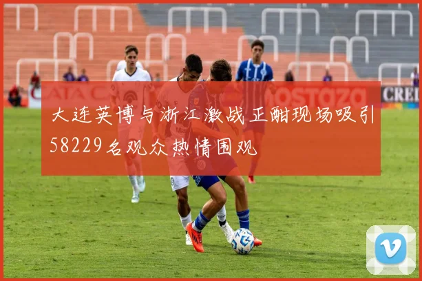 大连英博与浙江激战正酣现场吸引58229名观众热情围观