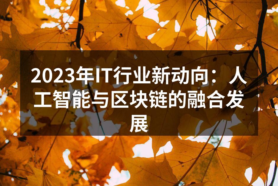 2023年IT行业新动向:人工智能与区块